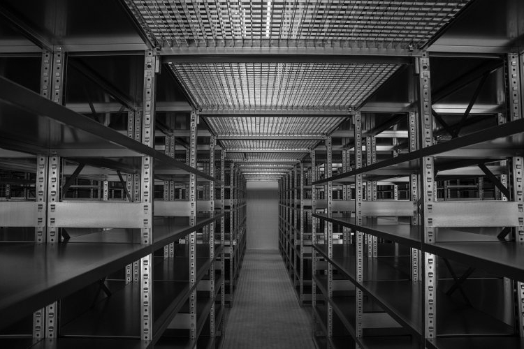 Jak skutecznie zwalczać szkodniki w magazynach i składach?